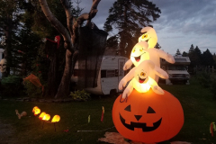 20190928_190918_resized