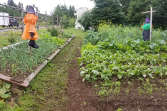 20200822_113815_resized