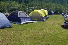 20190727_134943_resized