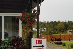 20201007_172406_resized